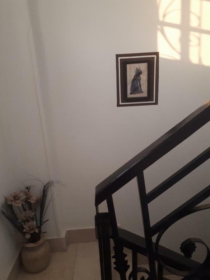 Appartement Angel Eyes House à Louxor Extérieur photo